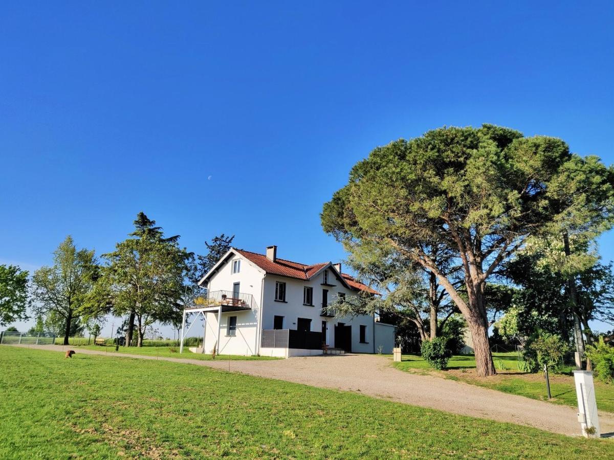 Brens  Le Cottage Duo Vigne Rouge Sauna Gaillac Entre Albi-Toulouse & Les Cottages Du Tarn מראה חיצוני תמונה